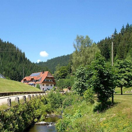 Gaestehaus Herrmann Bad Rippoldsau-Schapbach Buitenkant foto