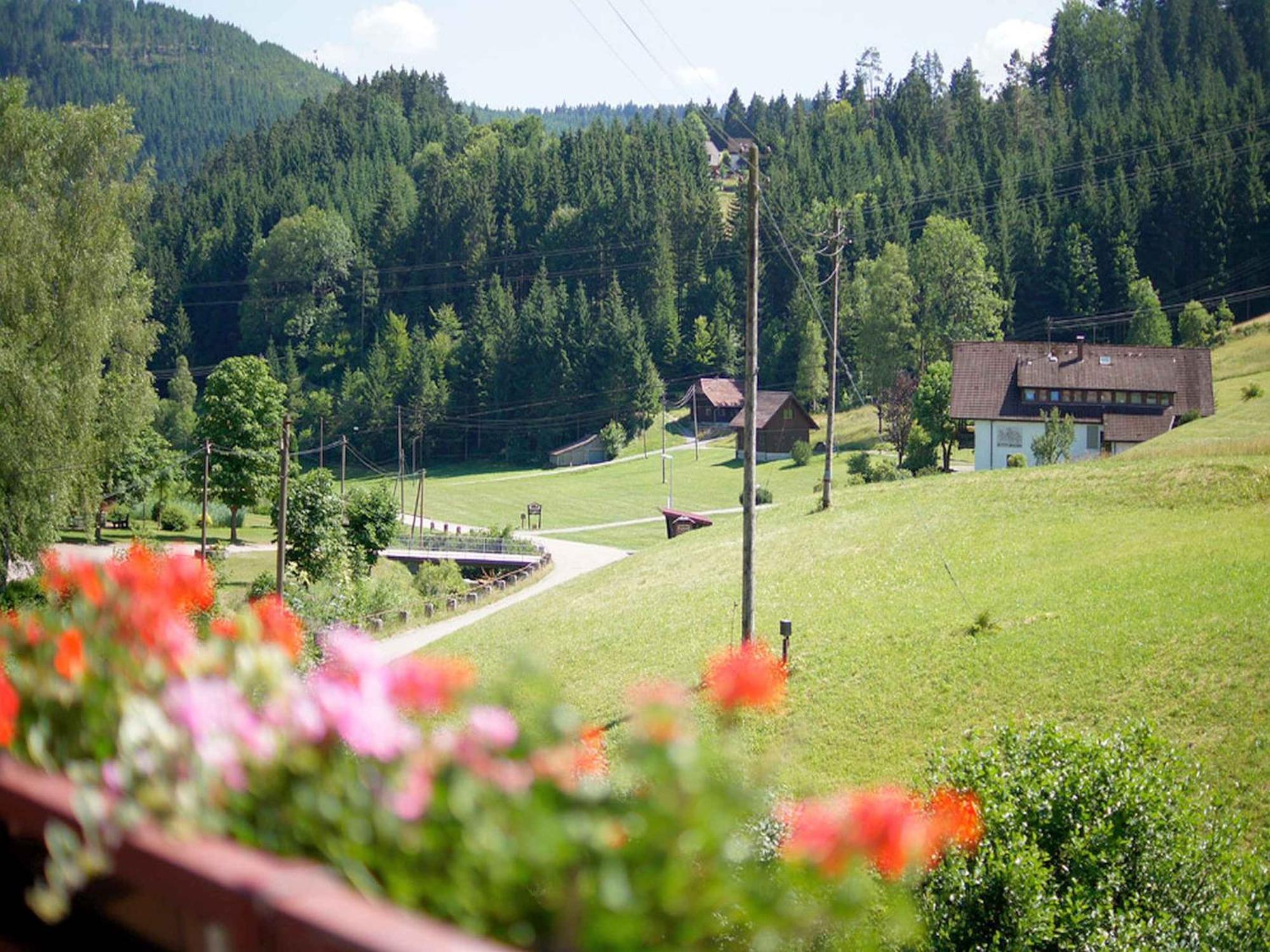 Gaestehaus Herrmann Bad Rippoldsau-Schapbach Buitenkant foto