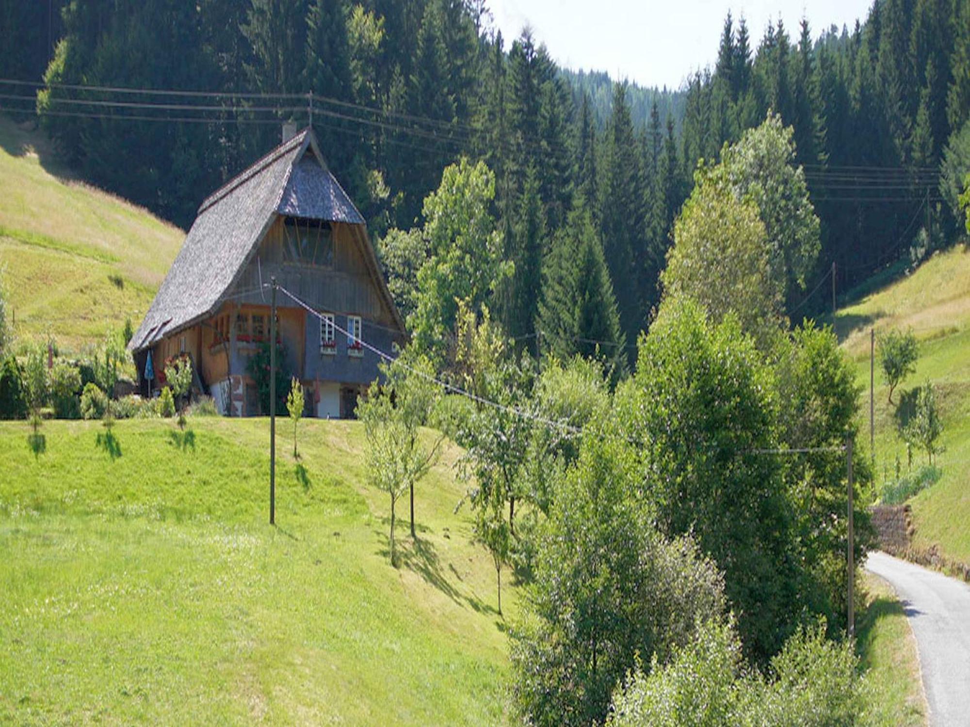 Gaestehaus Herrmann Bad Rippoldsau-Schapbach Buitenkant foto