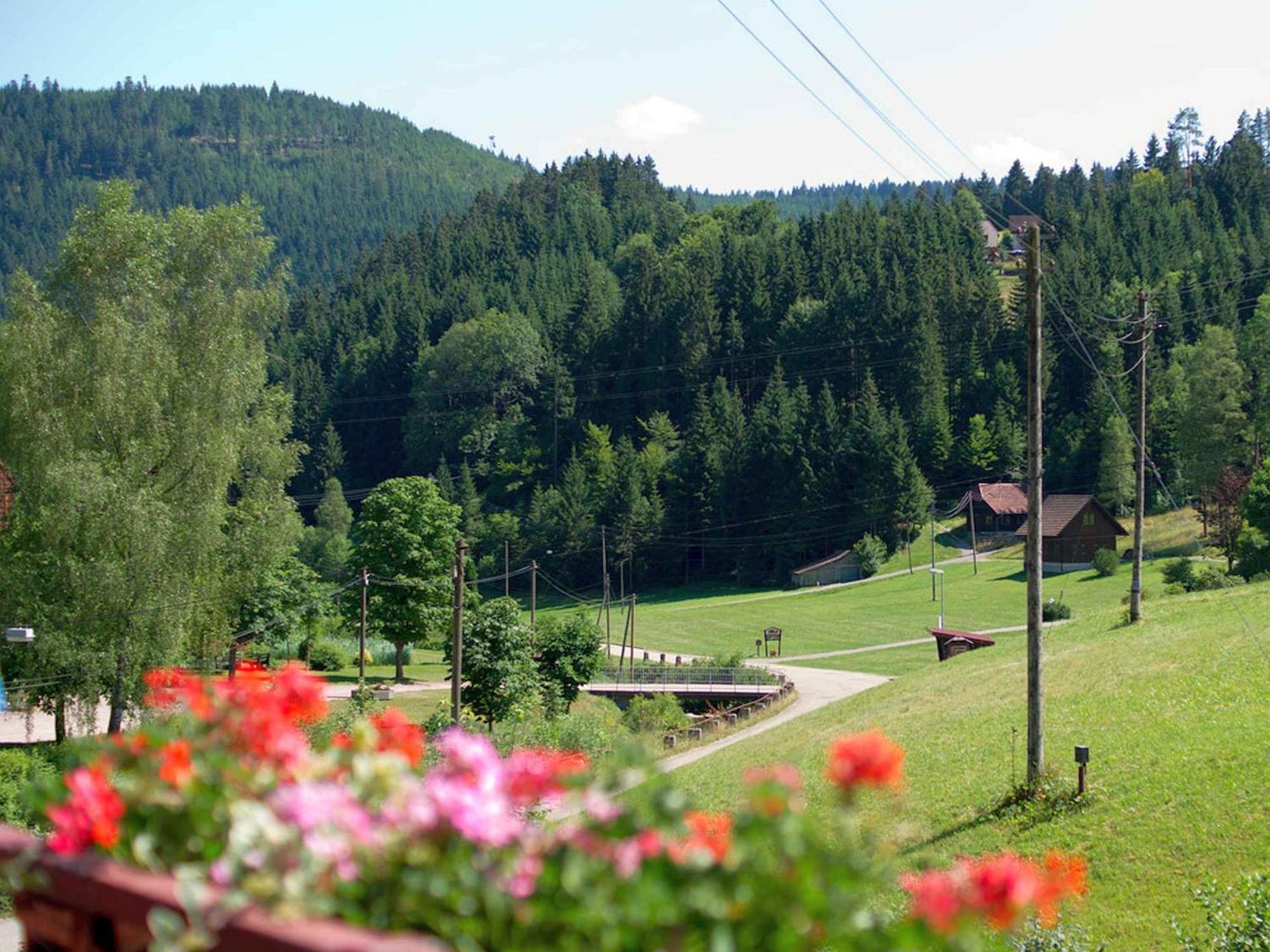 Gaestehaus Herrmann Bad Rippoldsau-Schapbach Buitenkant foto