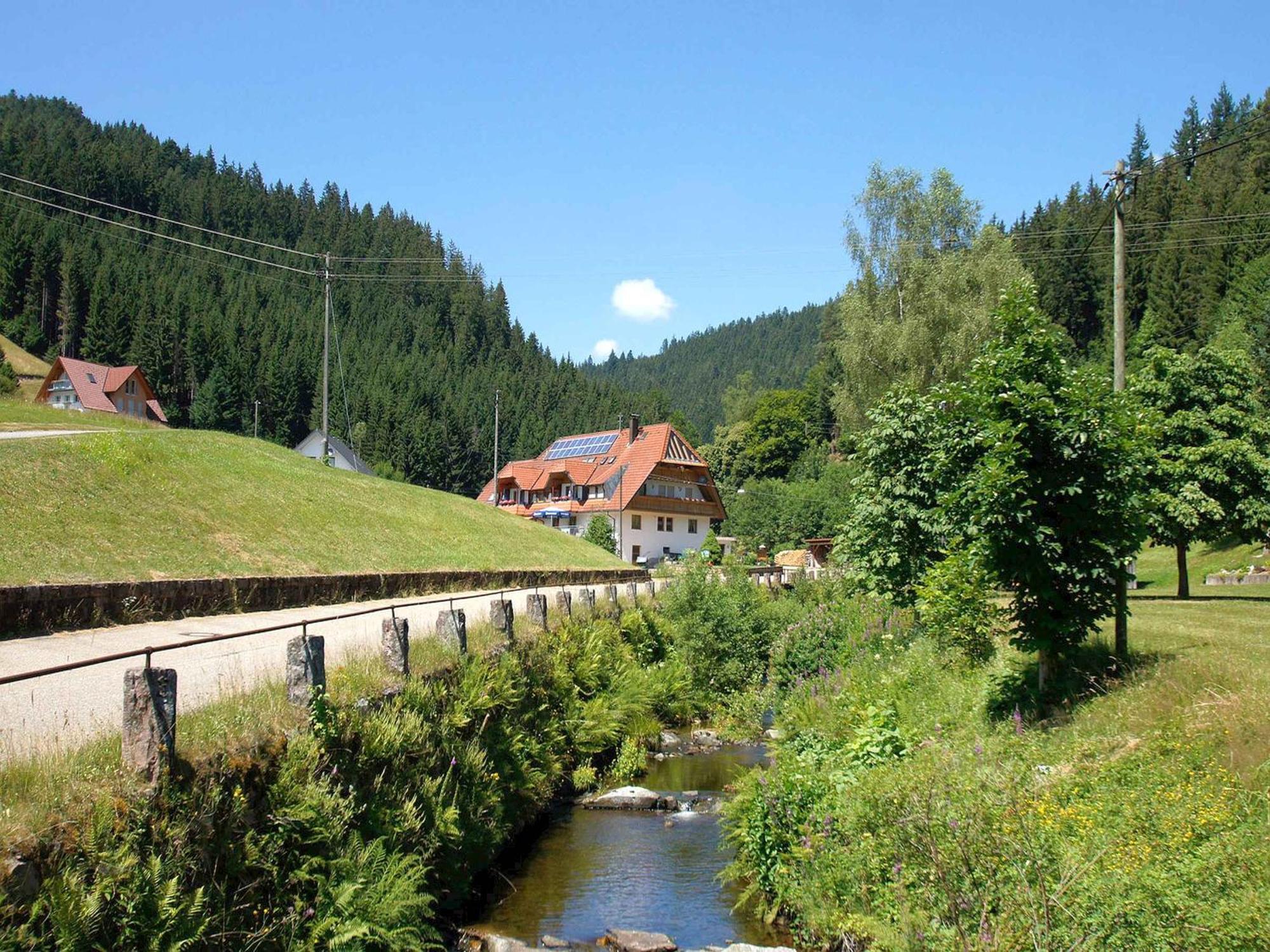 Gaestehaus Herrmann Bad Rippoldsau-Schapbach Buitenkant foto