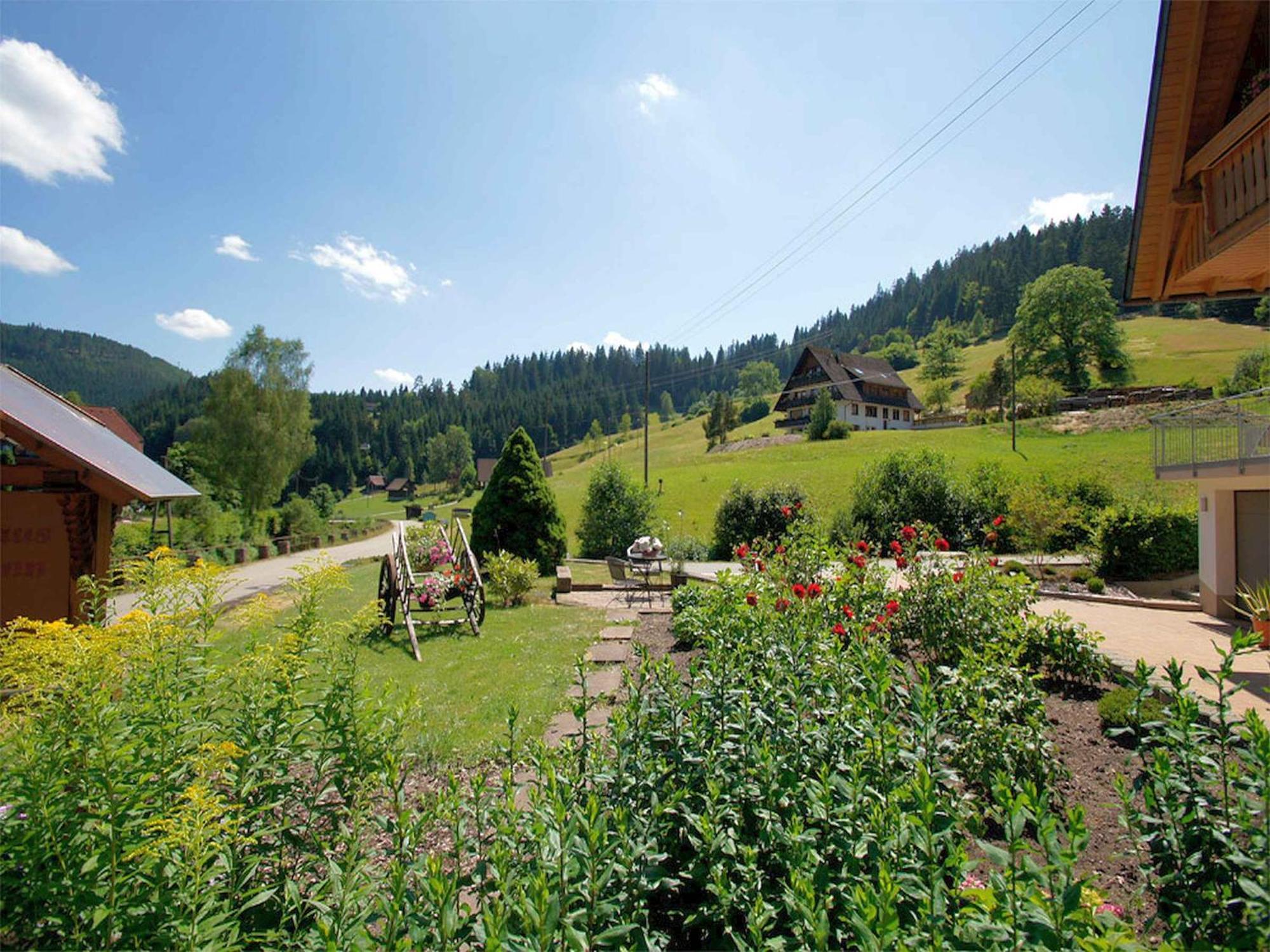 Gaestehaus Herrmann Bad Rippoldsau-Schapbach Buitenkant foto