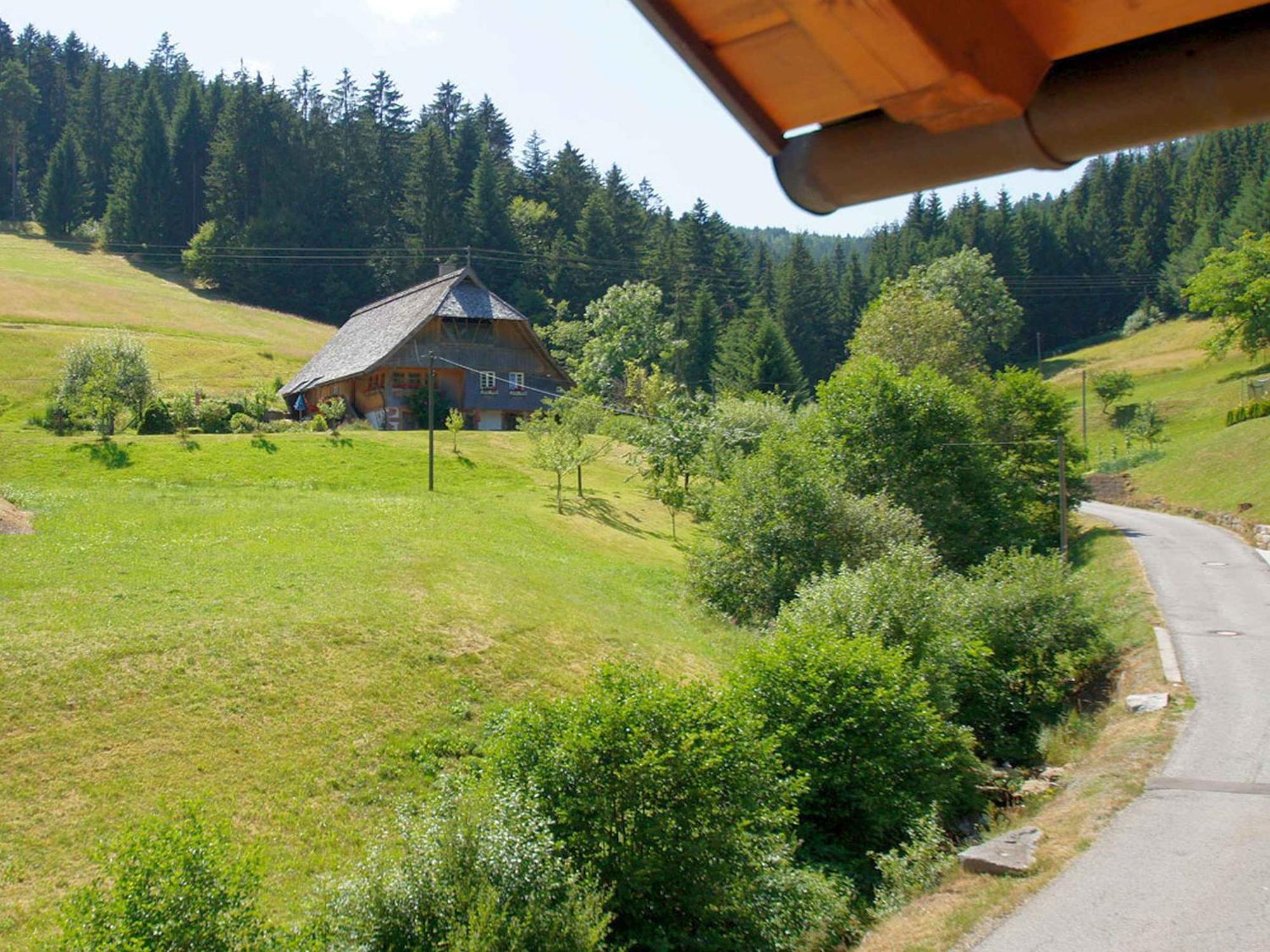 Gaestehaus Herrmann Bad Rippoldsau-Schapbach Buitenkant foto